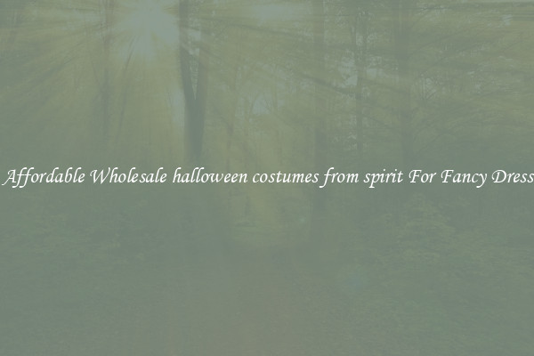 Affordable Wholesale halloween costumes from spirit For Fancy Dress