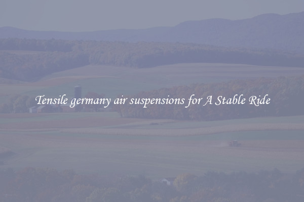 Tensile germany air suspensions for A Stable Ride