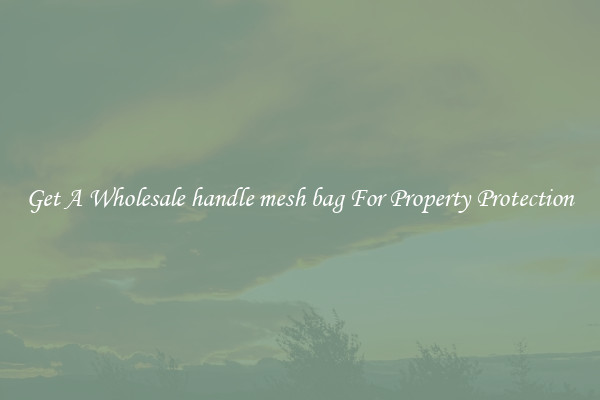 Get A Wholesale handle mesh bag For Property Protection
