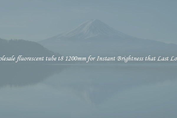 Wholesale fluorescent tube t8 1200mm for Instant Brightness that Last Longer