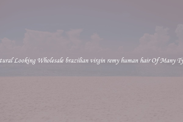Natural Looking Wholesale brazilian virgin remy human hair Of Many Types