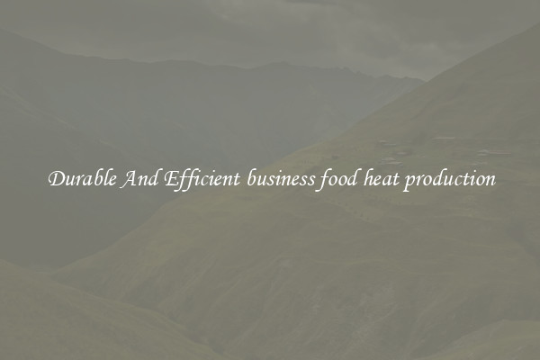 Durable And Efficient business food heat production
