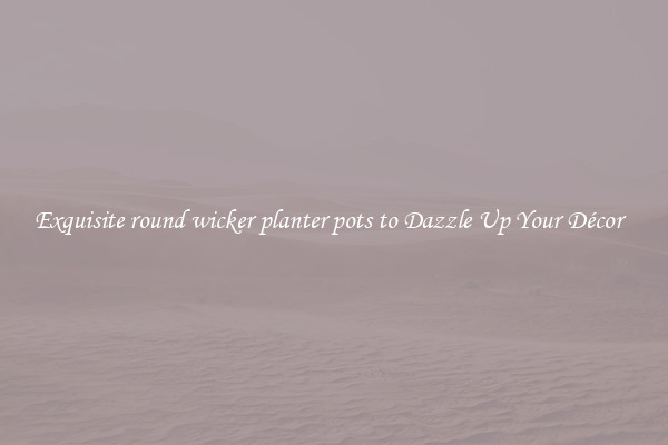 Exquisite round wicker planter pots to Dazzle Up Your Décor  