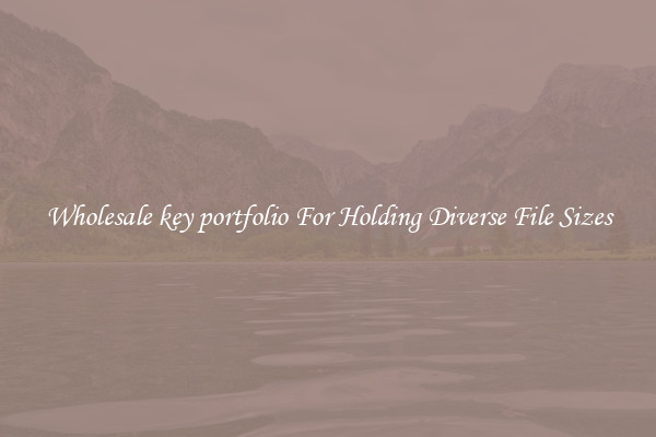 Wholesale key portfolio For Holding Diverse File Sizes