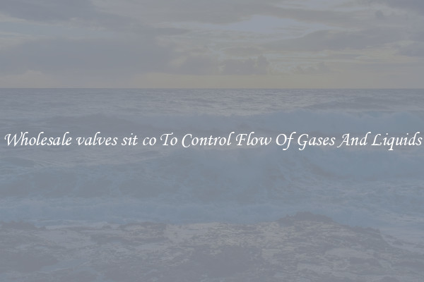 Wholesale valves sit co To Control Flow Of Gases And Liquids