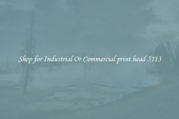 Shop for Industrial Or Commercial print head 5113