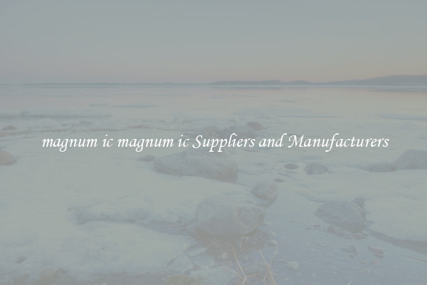 magnum ic magnum ic Suppliers and Manufacturers