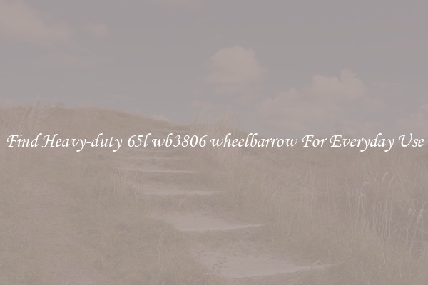 Find Heavy-duty 65l wb3806 wheelbarrow For Everyday Use
