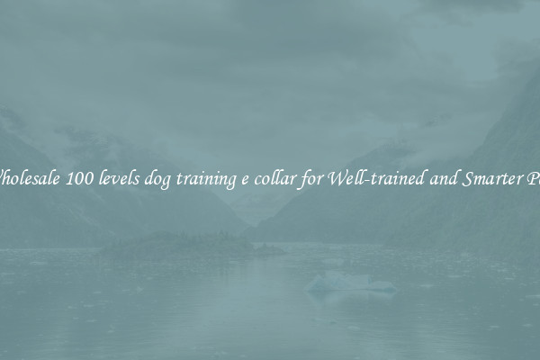 Wholesale 100 levels dog training e collar for Well-trained and Smarter Pets