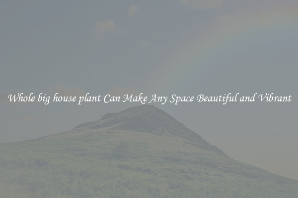 Whole big house plant Can Make Any Space Beautiful and Vibrant