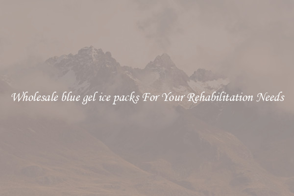 Wholesale blue gel ice packs For Your Rehabilitation Needs