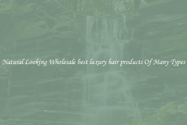Natural Looking Wholesale best luxury hair products Of Many Types