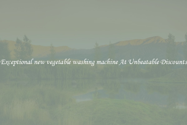 Exceptional new vegetable washing machine At Unbeatable Discounts