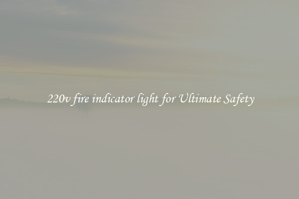 220v fire indicator light for Ultimate Safety