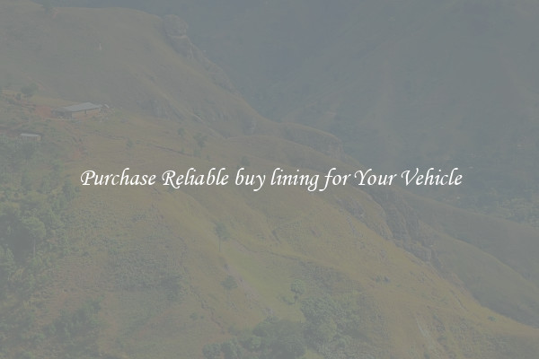Purchase Reliable buy lining for Your Vehicle