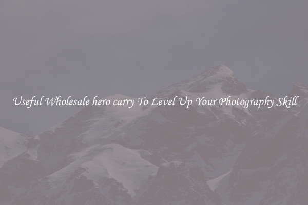 Useful Wholesale hero carry To Level Up Your Photography Skill